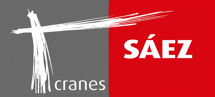 Logo SAEZ